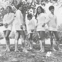 Tale Of My Lost Love - LP (0825764107310)