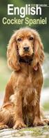 English Cocker Spaniel Slim Calendar 2026 Dog Breed Slimline Calendar - 12 Month
