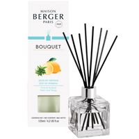 LAMPE BERGER - Parfum Berger - Geurstokjes Zest of Verbena