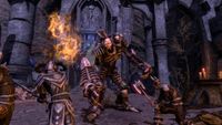 Bethesda The Elder Scrolls Online - Tamriel Unlimited PlayStation 4 - thumbnail