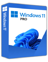 Windows 11 Pro