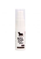 Bull Power Delay Spray - 15 ml - thumbnail