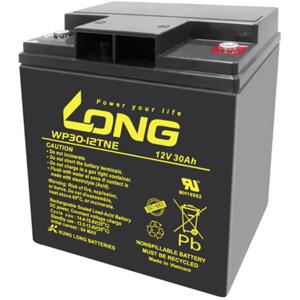 Long WP30-12TNE Loodaccu 12 V 30 Ah Loodvlies (AGM) (b x h x d) 166 x 176 x 125 mm M6-schroefaansluiting Cyclusbestendig, Geringe zelfontlading, Onderhoudsvrij