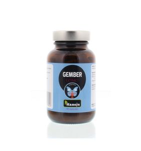 Gember extract 400mg