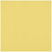 Westcott X-Drop Pro Rimpelbestendig 8' x 8' (2,44 x 2,44 m) achtergrond voor headshots, fotoshoots, groepsportretten, video-interviews en fotocabines - draagbaar en reisvriendelijk (kanariegeel)