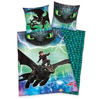 Herding Dreamworks Dragons Beddengoedset, Omkeerbaar, Dekbedovertrek 135 X 200 Cm, Kussensloop 80 X 80 Cm, Meerkleurig