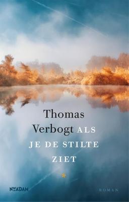 Als je de stilte ziet - Thomas Verbogt - eBook (9789046826638)
