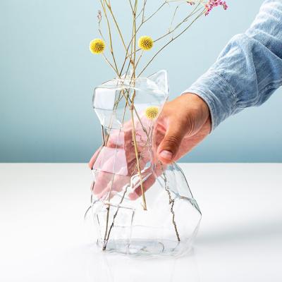 Kat Vaas - Groot/Transparant