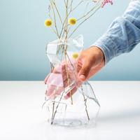 Kat Vaas - Groot/Transparant