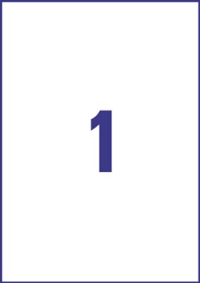 Europe 100 ELA027 Universele etiketten 210 x 297 mm Papier Wit 100 stuk(s) Permanent hechtend Inkjet, Laser (zwart/wit), Laser (kleur), Kopiëren (zwart/wit),