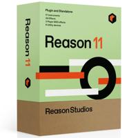 Reason 11 (boxed)