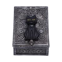 Nemesis Now - Familiar Spell Box 13.7cm