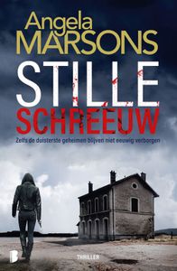 Stille schreeuw - Angela Marsons - ebook