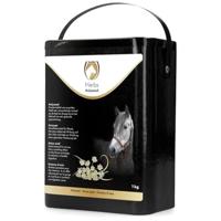 Excellent Herbs Anijs 1 Kg