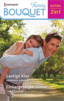 Lastige klus / Onvergetelijke zomer - Barbara Hannay, Cara Colter - ebook - thumbnail