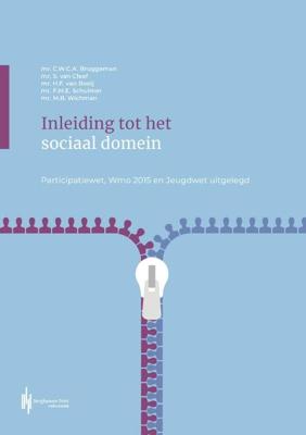 Inleiding tot het sociaal domein - Frank Schulmer - Paperback (9789492952721)
