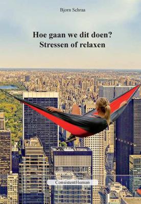 Hoe gaan we dit doen? - Bjorn Schraa - Paperback (9789492703002)