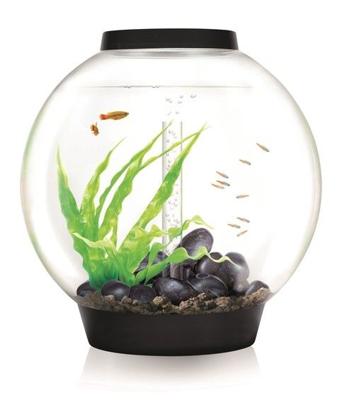 BiOrb Classic 60 MCR Aquarium - Zwart BiOrb Classic 60 MCR Aquarium - Zwart