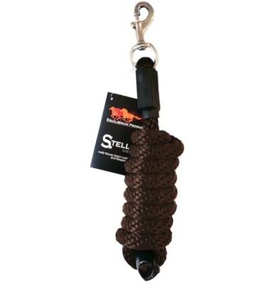 Equilibrium Stellar Halsterlijn