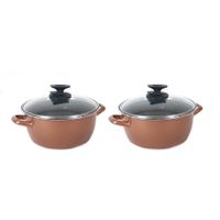 Set van 2x stuks rvs rose kookpan/pan met glazen deksel 20 cm 3 liter