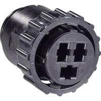 TE Connectivity 206037-2 Ronde connector Stekker, recht Totaal aantal polen: 3 Serie (ronde connectors): CPC 1 stuk(s)