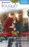 Bijzonder kerstcadeau ; Een winterromance - Cathy Williams, Shirley Jump - ebook - thumbnail