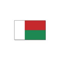 Gevelvlag/vlaggenmast vlag Madagaskar 90 x 150 cm   -