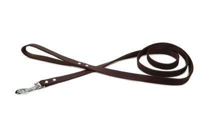 Beeztees - Hondenriem - Geniet - Bruin - 200x20 cm