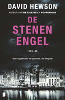 Amsterdam 4 - De stenen engel - thumbnail