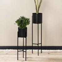 2 hoge plantenpotten