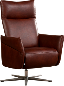 Donkercognac leren moderne relaxfauteuil Ease - met stervoet rvs - zithoogte medium - Granada leer Cognac (donkercognac leer)