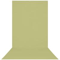 Westcott X-Drop rimpelbestendig 5 'x 12' (1,52 x 3,66 m) Sweep achtergrond voor headshots, full-body fotoshoots en productfoto's - draagbaar en reisvriendelijk (licht mosgroen)