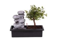 Bonsai met waterval 'Stones'