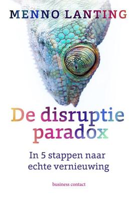 De disruptieparadox - Menno Lanting - eBook (9789047010388)
