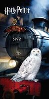 Harry Potter Strandlaken - Trein - 70 x 140 cm