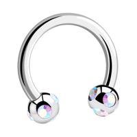 Circular Barbell Chirurgisch Staal 316L Circular Barbells - thumbnail