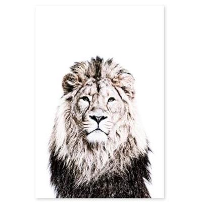 Groovy Magnets Magneetsticker Leeuw Groovy Magnets Magneetsticker Leeuw