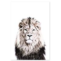 Groovy Magnets Magneetsticker Leeuw