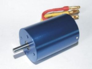 Brushless motor (Twister)