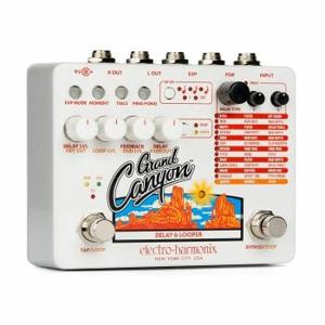 Electro-Harmonix Grand Canyon Reverb-pedaal Oranje, Wit