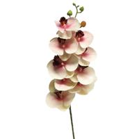 Kunstbloem Orchidee Bora - roze - 77 cm - losse steel - kunst zijdebloem - Phalaenopsis