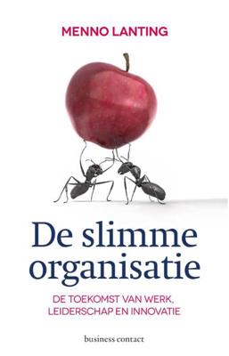 De slimme organisatie - Menno Lanting - Paperback (9789047005278)