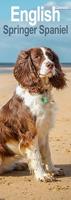 English Springer Spaniel Slim Calendar 2026 Dog Breed Slimline Calendar - 12 Month