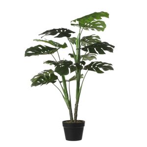 Mica Monstera in pot groen