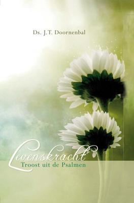 Levenskracht - J.T. Doornenbal - eBook (9789462785496) Levenskracht - J.T. Doornenbal - eBook (9789462785496)