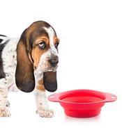 KOOPMAN Opvouwbare voederbak voor dieren, willekeurige kleuren