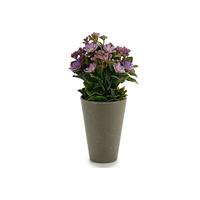 Ibergarden S3605658 plantenpot kunststof, grijs