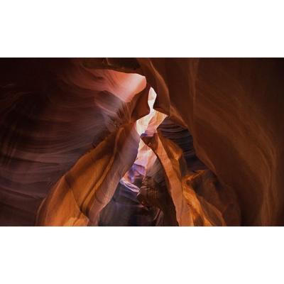 Wanddecoratie Art of Nature 005 118x70cm