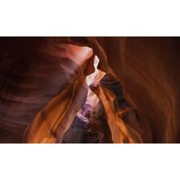 Wanddecoratie Art of Nature 005 118x70cm