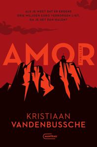 Amor - Kristiaan Vandenbussche - ebook